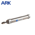 Dsnu Mini Small Micro Air Pneumatic Cylinder